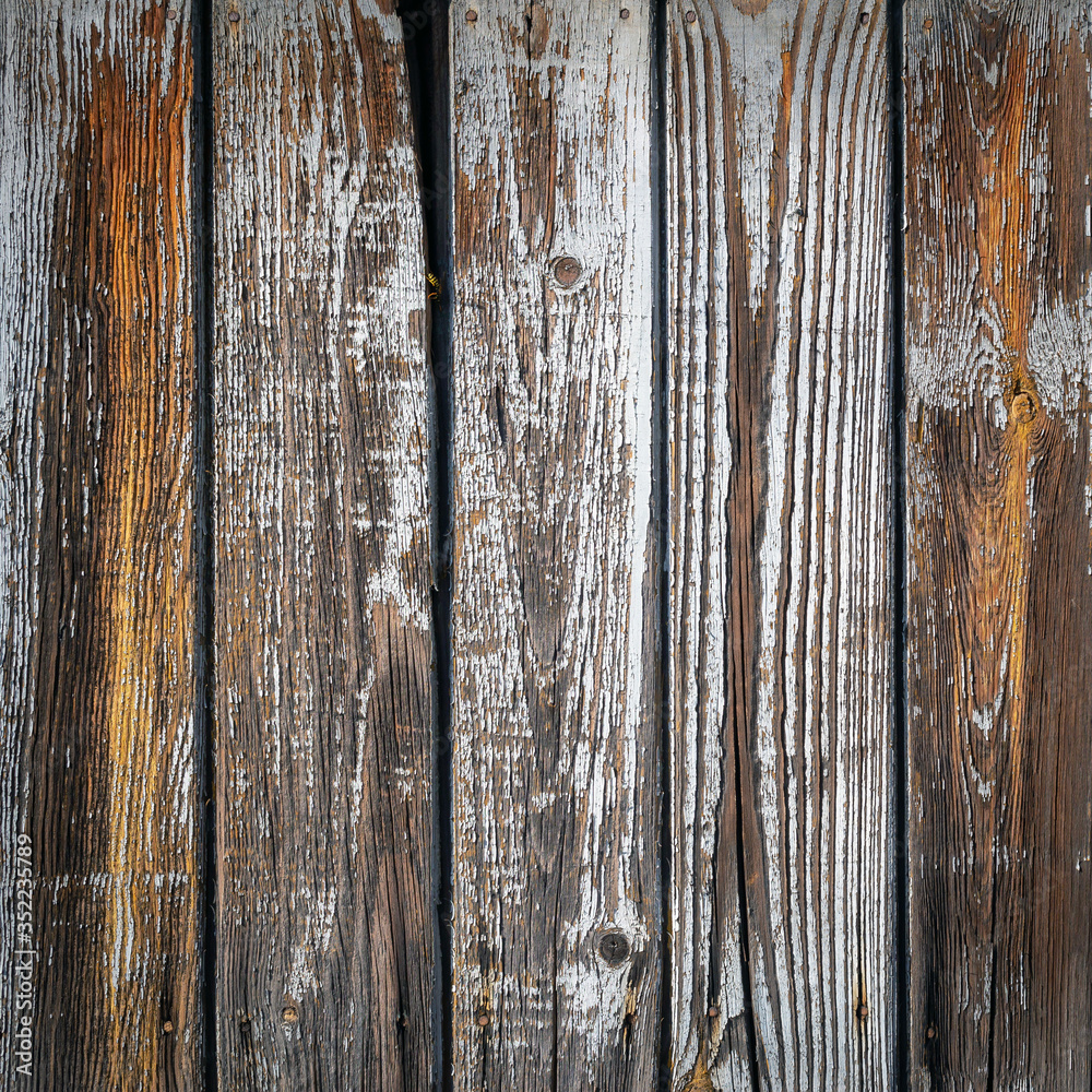 Fototapeta premium The white wood texture with natural patterns background