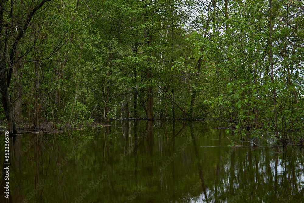 shady grove flooded during the spring flood shady grove flooded during the spring flood