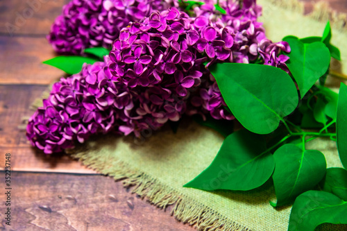 
large branch of lilac with green leaves on a linen tablecloth