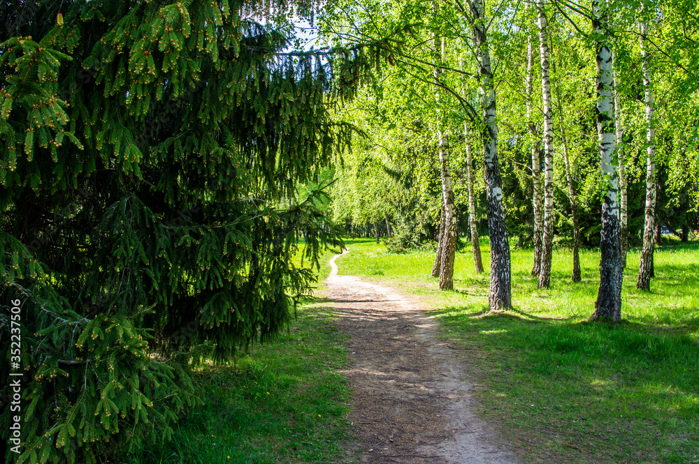 Summer bright beautiful park without people. Green trees and grass Summer bright beautiful park without people. Green trees and grass