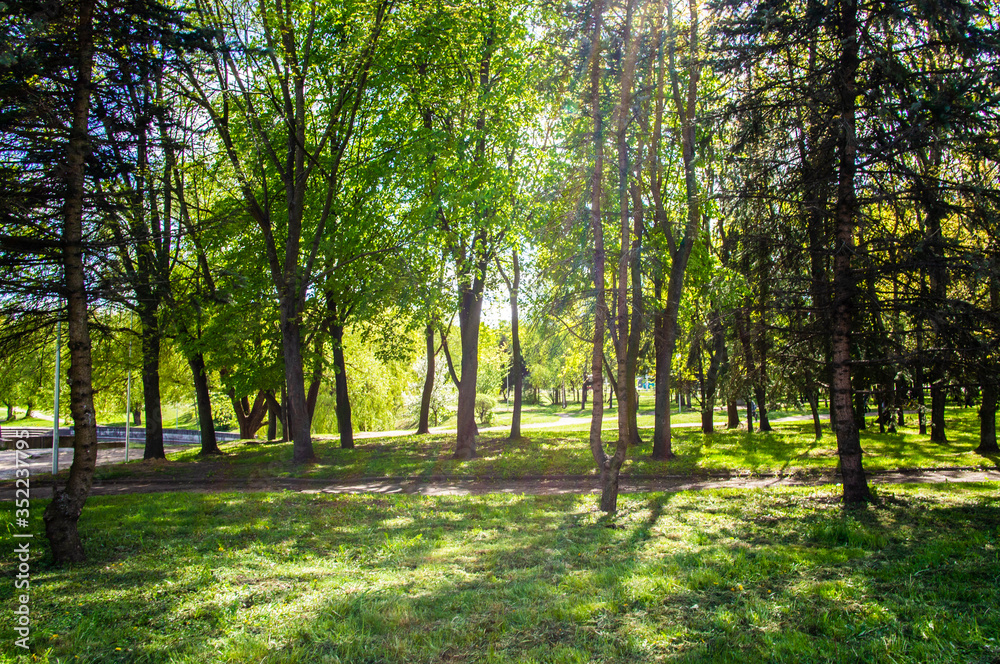 Summer bright beautiful park without people. Green trees and grass Summer bright beautiful park without people. Green trees and grass