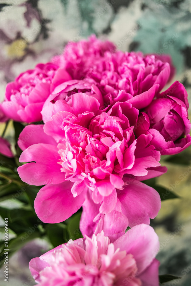 Bouquet of beautiful pink flowers