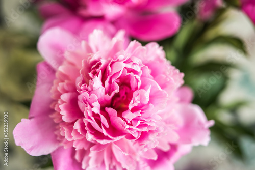 Big bouquet of beautiful pink peonies