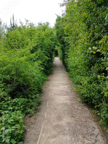 path in the park