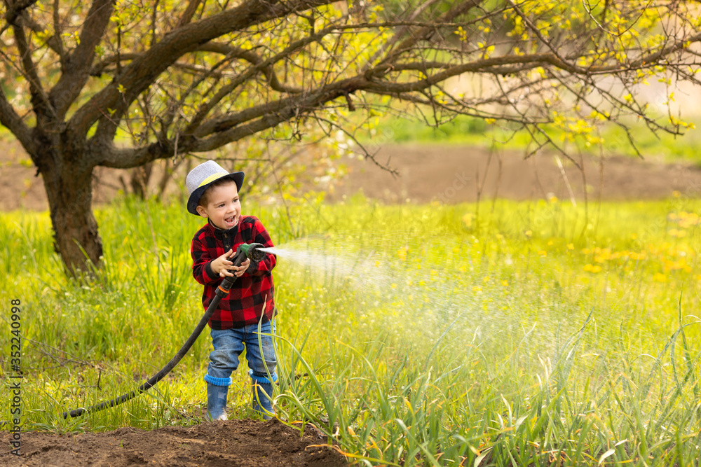 kid boy watering garden