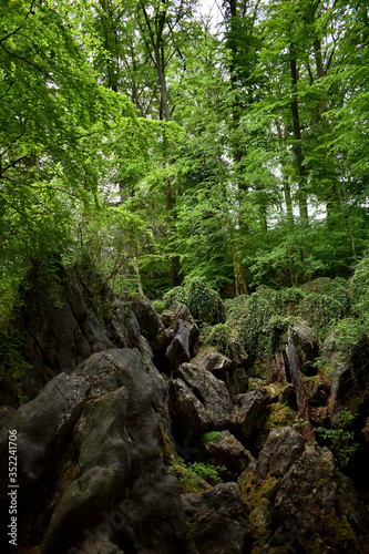 sea of stones