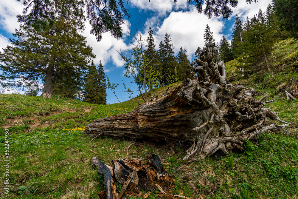 Mountain tour in the Allgau Alps Mountain tour in the Allgau Alps