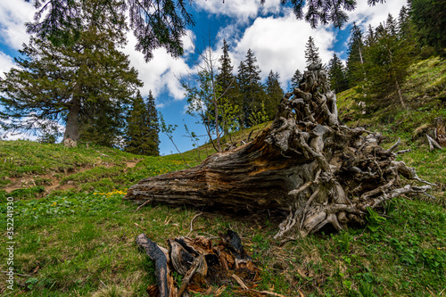 Mountain tour in the Allgau Alps