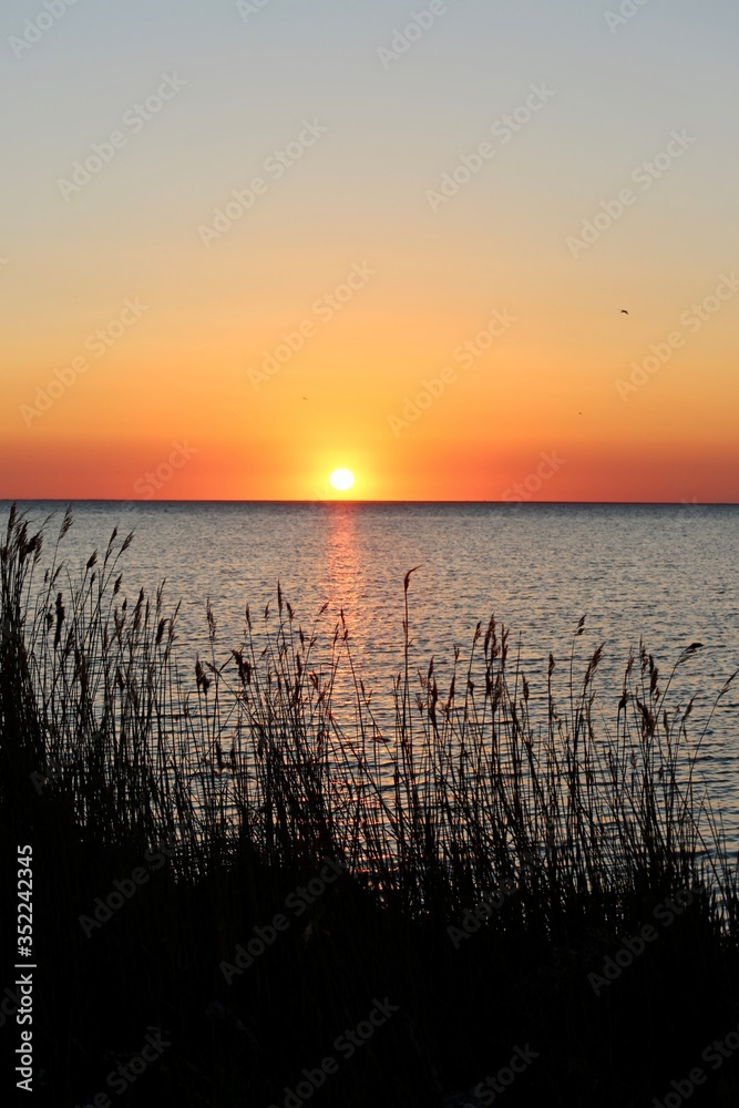 sky sunset on the beach over the river sea red sunset sun evening nature ocean