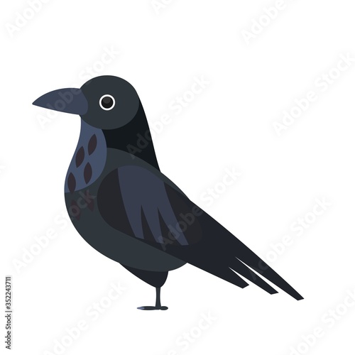 Flat raven illustration. Crow vector isolated image. Wild bird drawing.