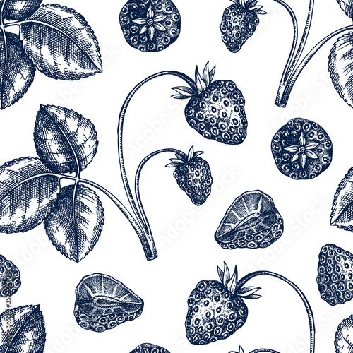 Hand drawn strawberries vector backdrop in engraved style. Wild berries seamless pattern. Hand drawing. Vintage forest berry sketch. Strawberry plant background. 
