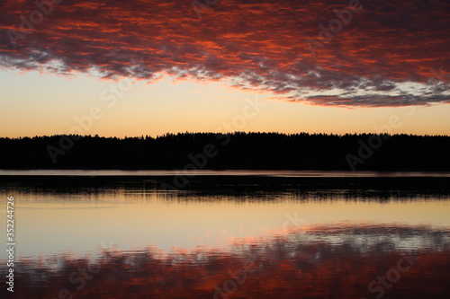 Mirror image of pink light sky with bright burning crimson clouds in the lake at dawn.The illuminated black forest on the horizon is copied in the calm water.A glossy picture in the twilight.Russia