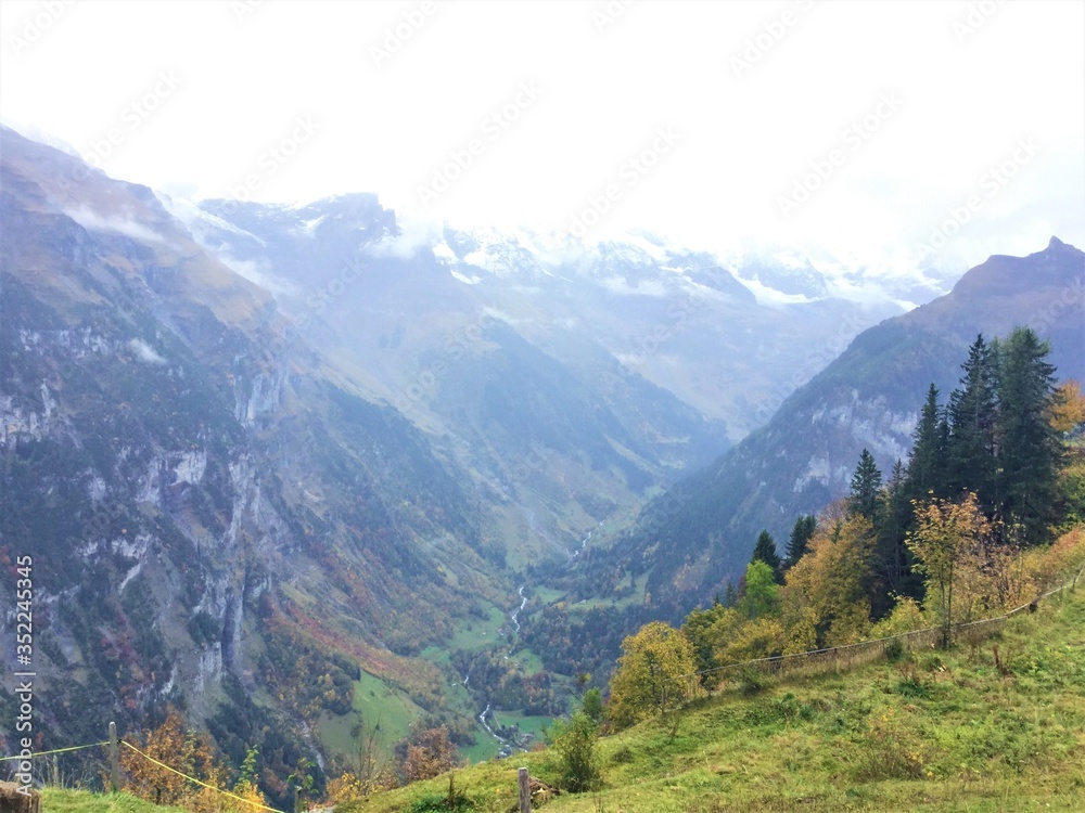 Swiss Wilderness