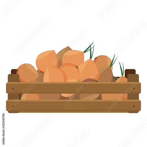 Wooden box with onion. Harvesting vegetable. Flat illustration vector.