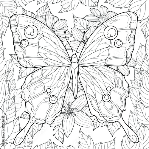 Butterfly on a background of flowers and leaves.Coloring book antistress for children and adults. Illustration isolated on white background.Zen-tangle style. Black and white drawing.