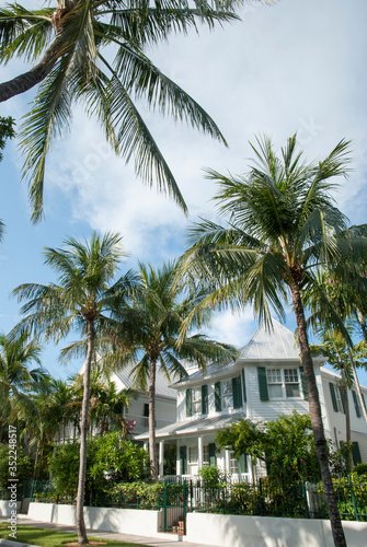 Key West Town Street With Palms