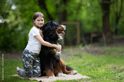 Caucasian child girl with big dog, Kid hugs Bernese Mountain Dog pet. Happiness and friendship between kid and dog