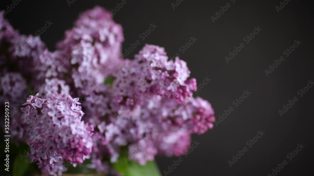 bouquet of beautiful spring flowers of lilac on a black bouquet of beautiful spring flowers of lilac on a black