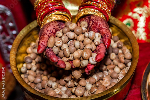 Many Betel Nuts in the hands of Bride,Supari photo