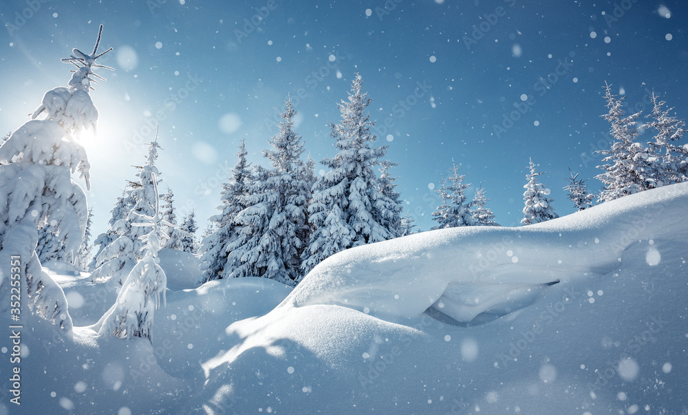 Wonderful winter landscape with trees in frost. Merry christmas and happy new year greeting background. .Winter landscape with snow and christmas trees. Awesome wintry Scenery. Wonderful winter landscape with trees in frost. Merry christmas and happy new year greeting background. .Winter landscape with snow and christmas trees. Awesome wintry Scenery.