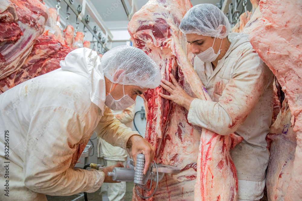 Obraz premium Brazil's largest processed meat exporters