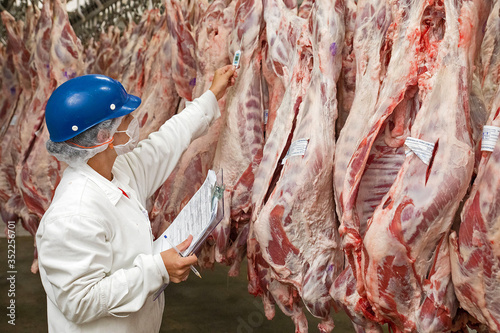 Brazil's largest processed meat exporters