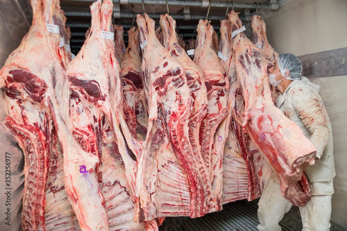 Brazil's largest processed meat exporters