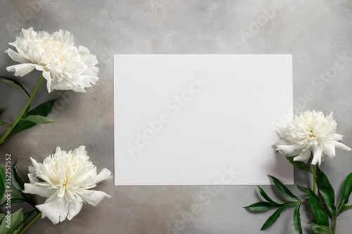 delicate white peonies with a blank white paper on a gray concrete background. greeting card concept. horizontal image