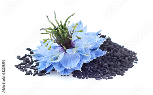 Black cumin seeds with nigella sativa flower on white background photo