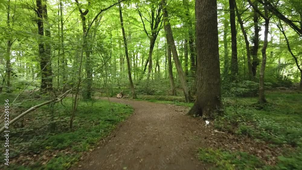 Natural view in Europe with green nature and sunny day Natural view in Europe with green nature and sunny day