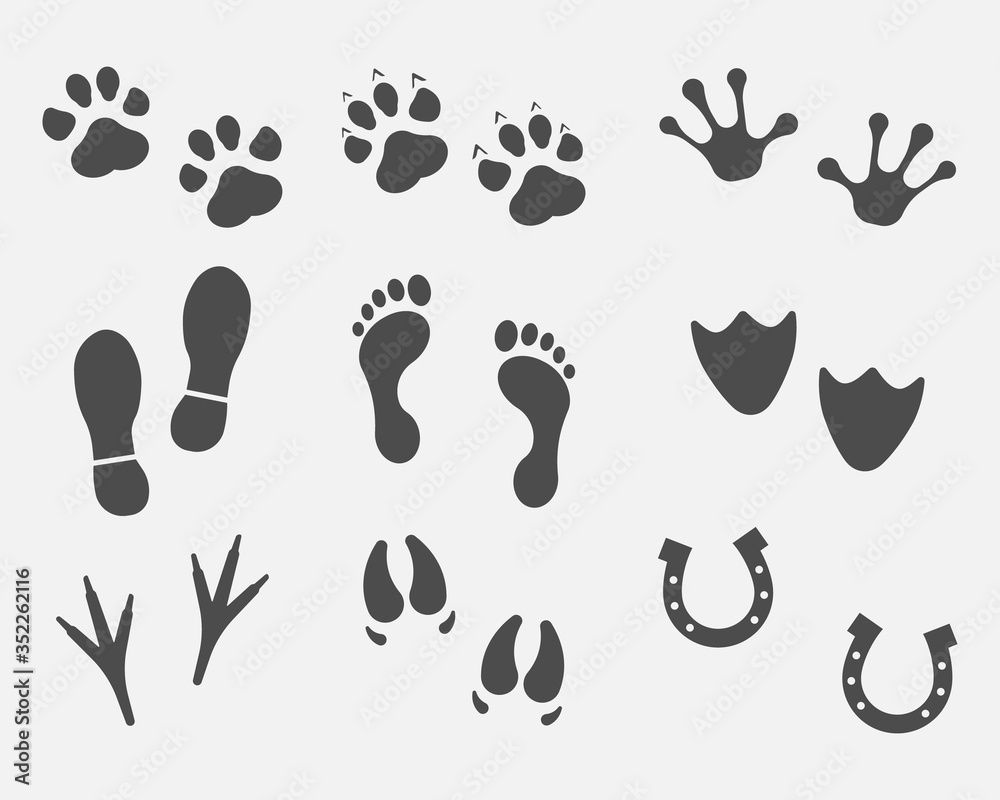 Black Different Animal and Bird Silhouettes Tracks Set isolated on white background. Vector illustration.