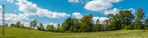 majestatyczna panorama łąk i drzew