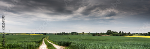 Ścieżka pośrodku pola, nad nim deszczowe chmury