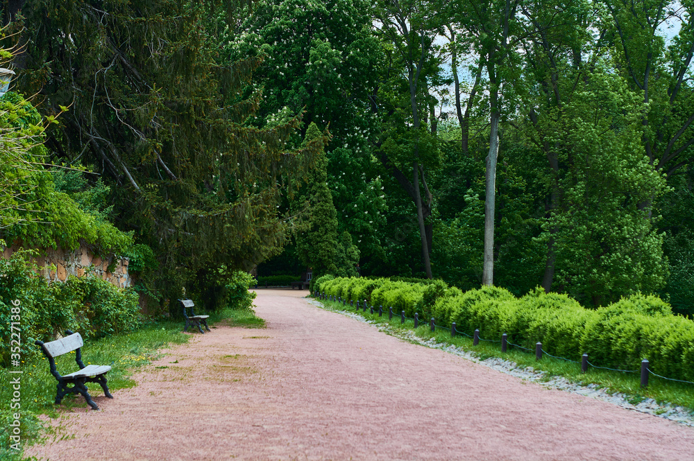 Wide path of crushed stone in green garden, spring park with wooden benches.