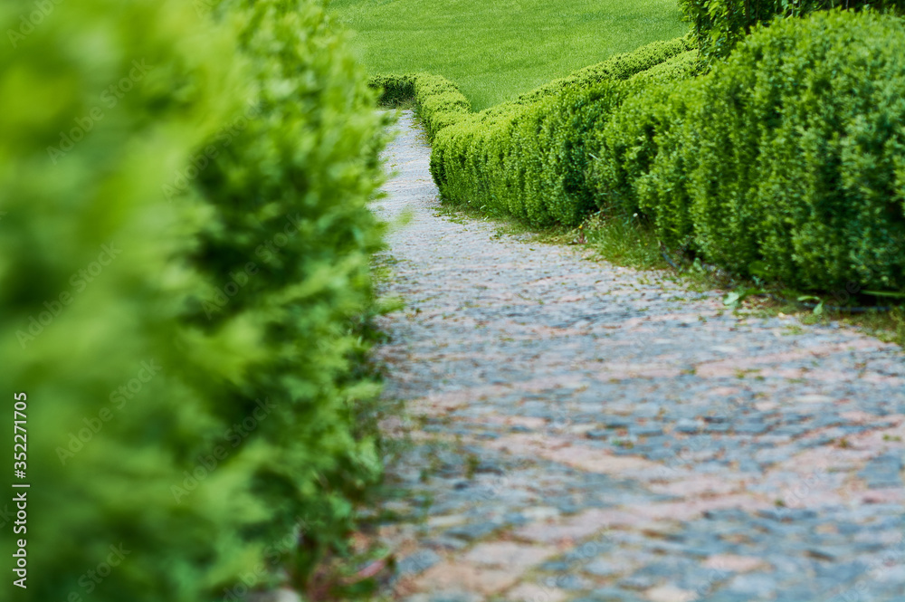 Beautiful paved path in the modern park of tiles and stone with green fences. Without people. Beautiful paved path in the modern park of tiles and stone with green fences. Without people.
