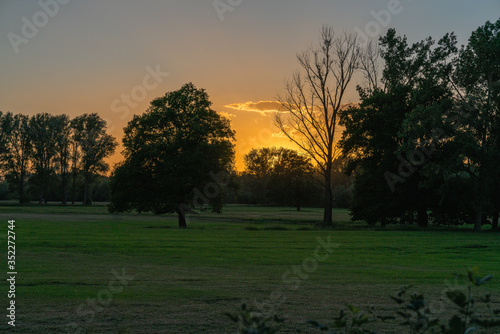 The sunset behind trees in a floodplain bathes the landscape in warm light.