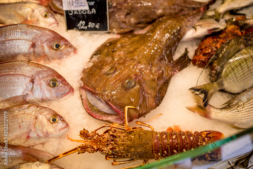 Fresh fish in seafood market Montenegro Dobrota spring summer trip travel j