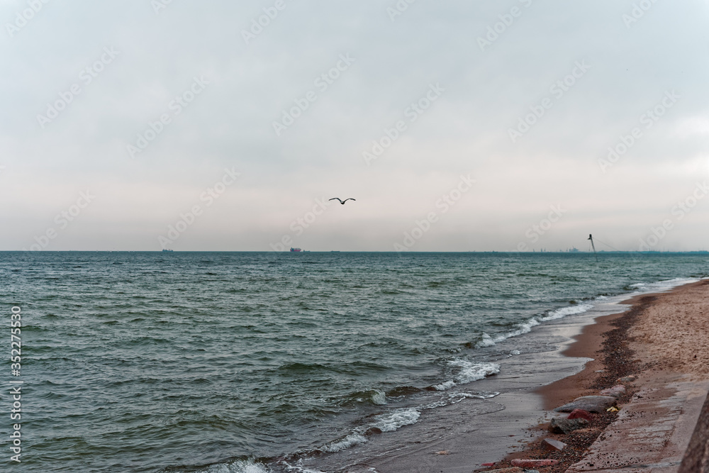 Fototapeta premium Fly.