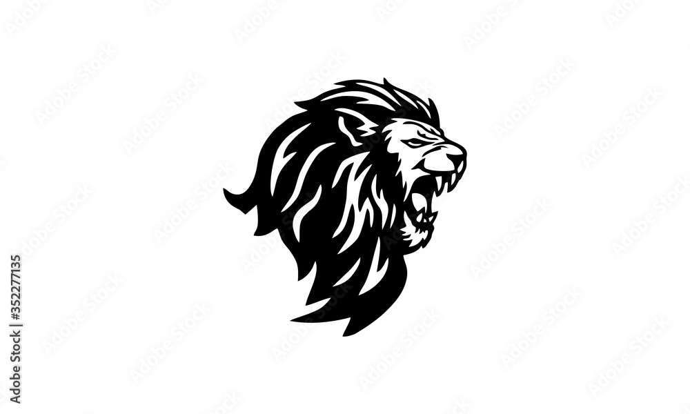 Fototapeta premium lion
