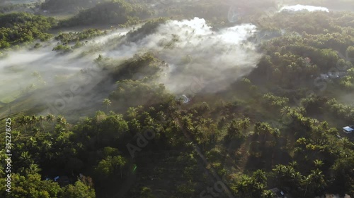 Wallpaper Mural Foggy Morning in Philippines Rainforest Jungle, Aerial Drone Torontodigital.ca