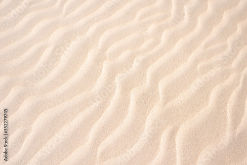 Golden sand in the dune, background of sand in the desert