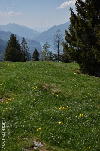 Naturlandschaft in Flumserberg in der Schweiz 17.5.2020 photo