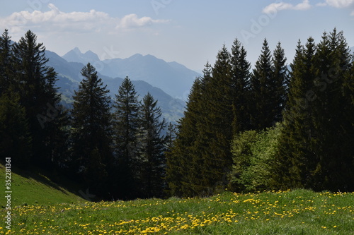 Naturlandschaft in Flumserberg in der Schweiz 17.5.2020
