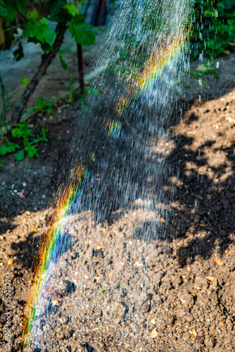 Rainbow watering the freshly planted crops