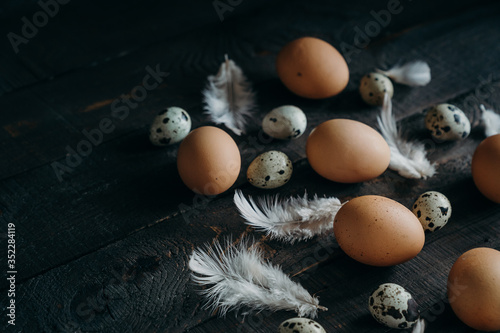 brown Chicken eggs, Quail Eggs, feathers on dark wooden background. farm products, organic products, Healthy food concept