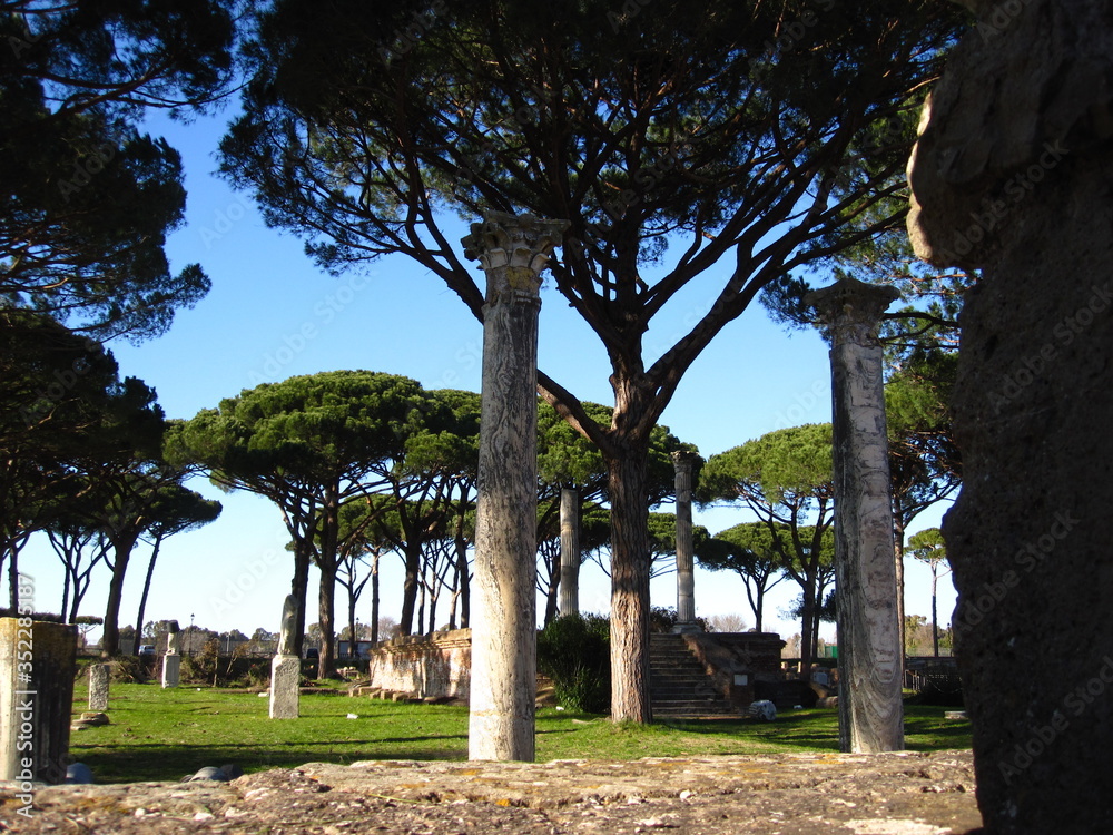 Ancient Rome. Panorama with Roman trees. Park with pine trees.