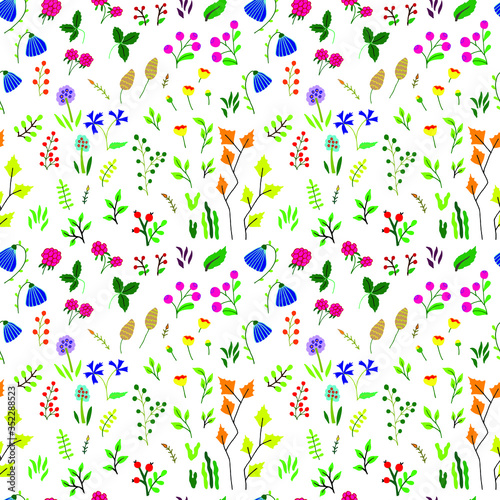Illustration of a seamless vector pattern of flowers and berries. Northern plants, raspberries, aspen, poppy, bluebell, lingonberry, moss, cornflower, fern isolated on white background. Botany. 
