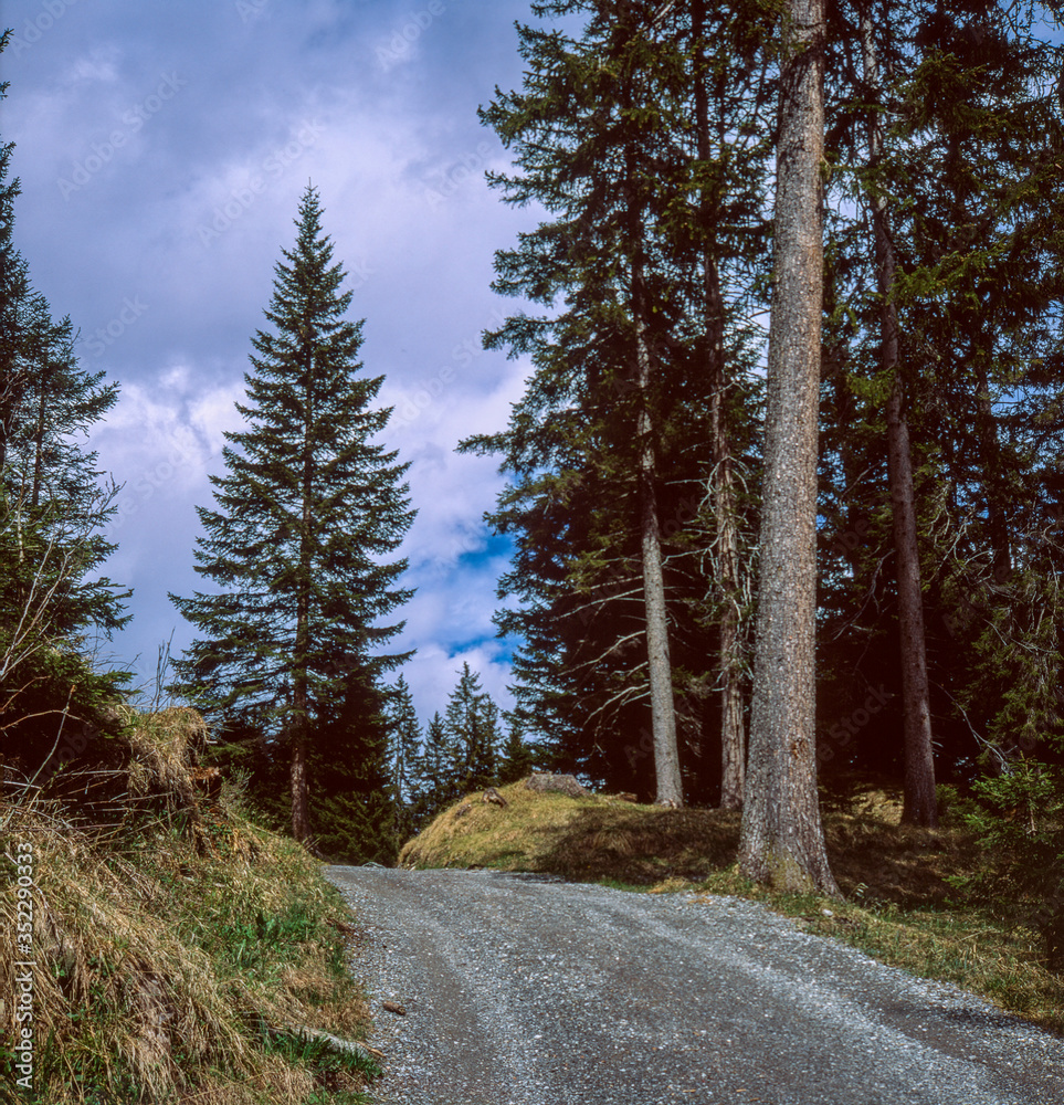 The alpine road to the mountain on top of Lenzerheide in Switzerland in the Swiss Alps, shot with slide film technique The alpine road to the mountain on top of Lenzerheide in Switzerland in the Swiss Alps, shot with slide film technique