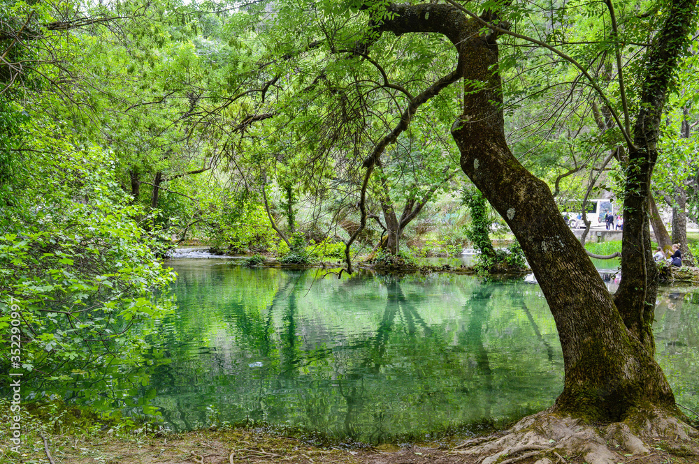 Lake in Krka National Park, Croatia Lake in Krka National Park, Croatia