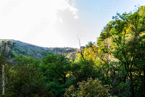 Almajului mountains, Banat, mountain landscape, water mills area. Rudaria, Eftimie Murgu, Romania.  photo